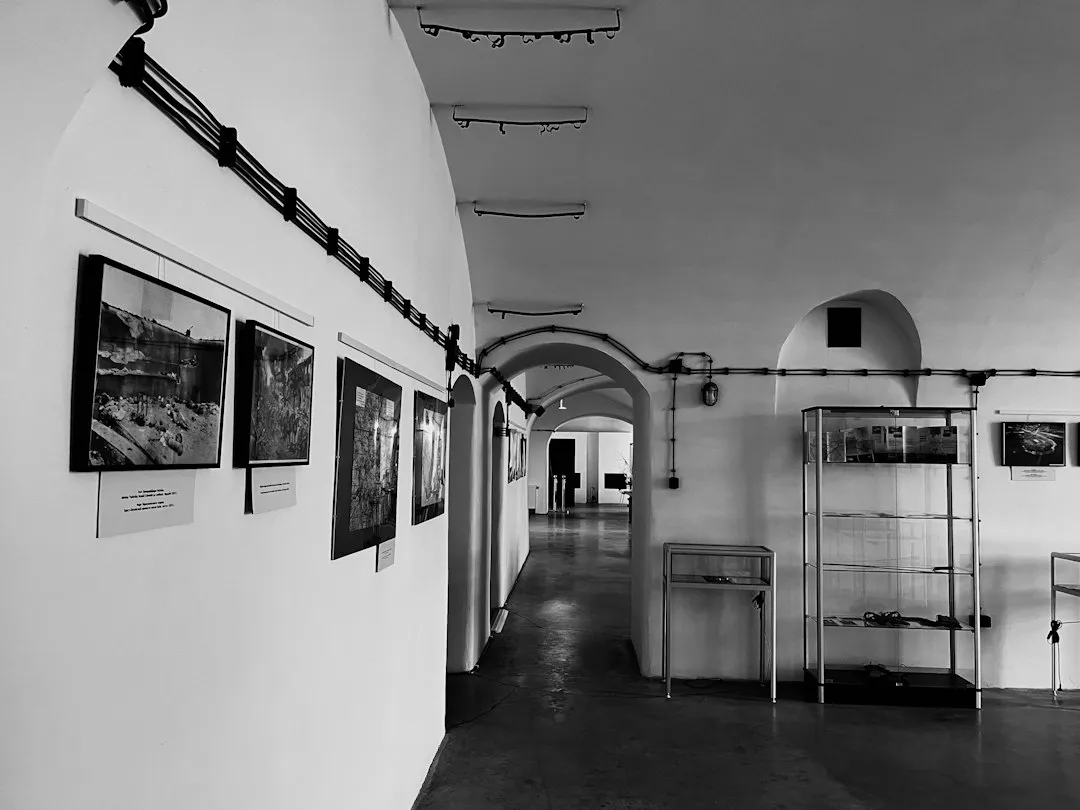 传感器连接器定制方案:为自动化设备定制可靠圆形连接器案例
